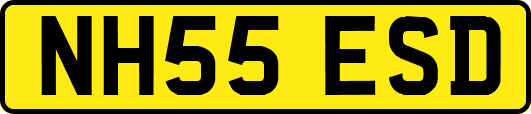 NH55ESD