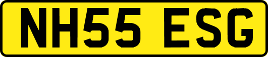 NH55ESG