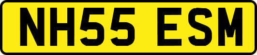 NH55ESM