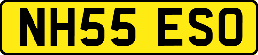 NH55ESO