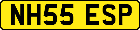 NH55ESP