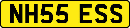 NH55ESS