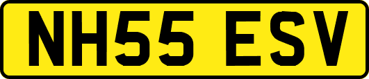 NH55ESV