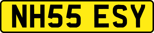 NH55ESY