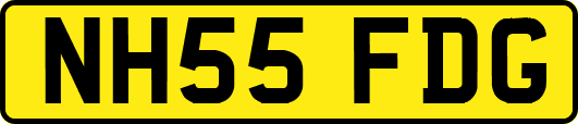 NH55FDG
