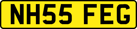 NH55FEG