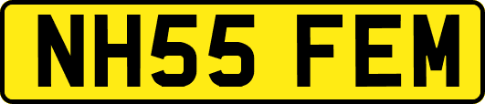 NH55FEM