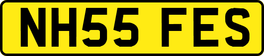 NH55FES