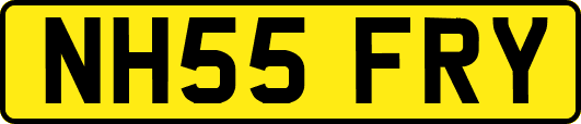 NH55FRY