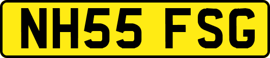NH55FSG
