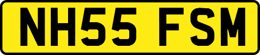 NH55FSM
