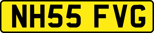 NH55FVG