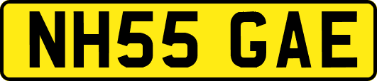 NH55GAE