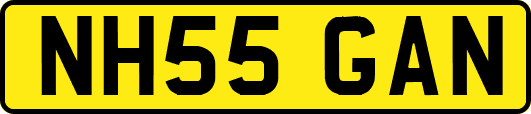 NH55GAN
