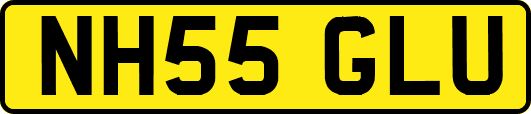 NH55GLU