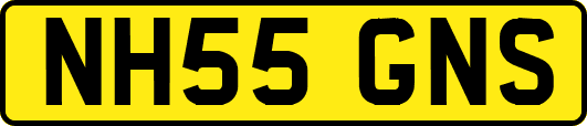NH55GNS