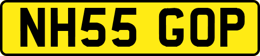 NH55GOP