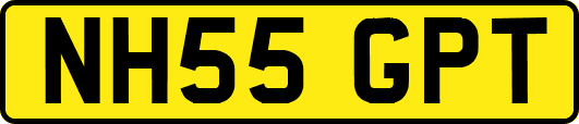 NH55GPT