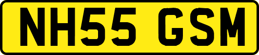 NH55GSM