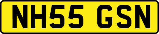 NH55GSN