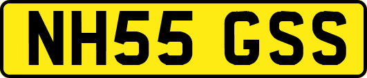 NH55GSS