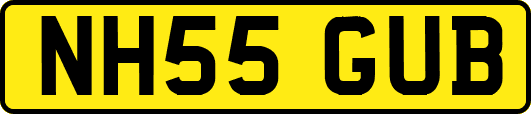 NH55GUB