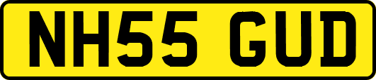 NH55GUD
