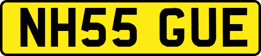 NH55GUE