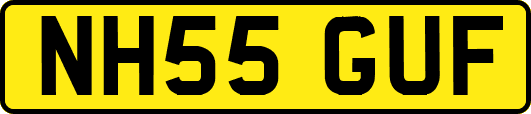 NH55GUF