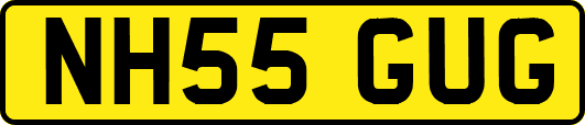NH55GUG