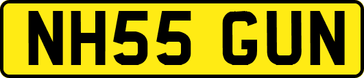 NH55GUN