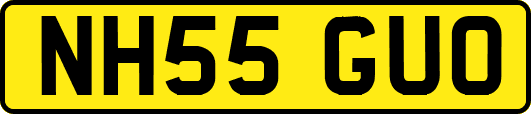 NH55GUO