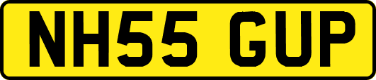 NH55GUP