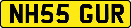 NH55GUR