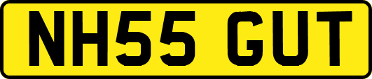 NH55GUT