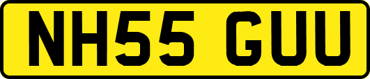 NH55GUU