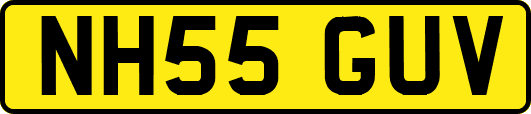 NH55GUV