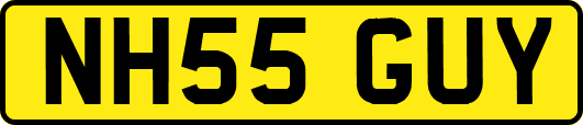 NH55GUY