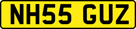 NH55GUZ