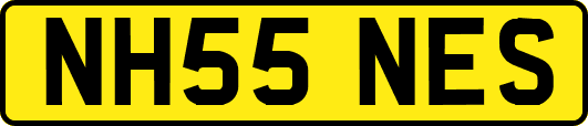 NH55NES