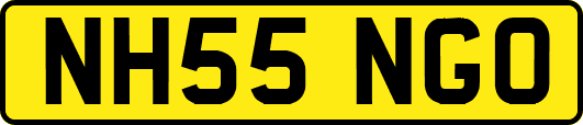 NH55NGO