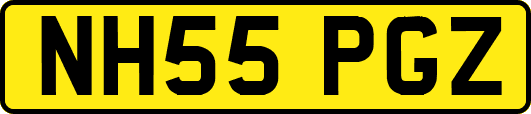 NH55PGZ