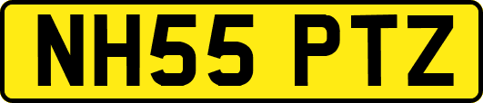 NH55PTZ