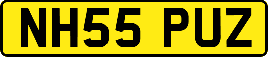 NH55PUZ