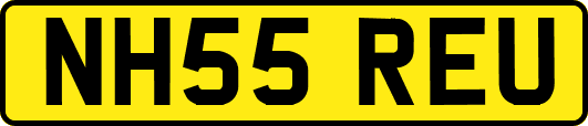 NH55REU