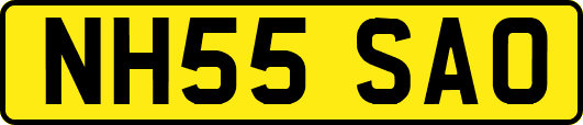NH55SAO