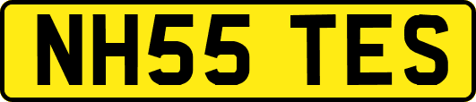 NH55TES