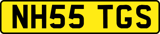 NH55TGS