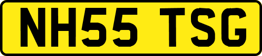 NH55TSG