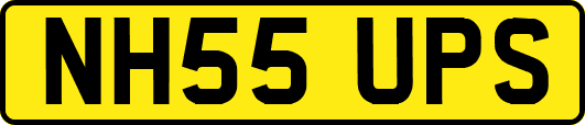 NH55UPS